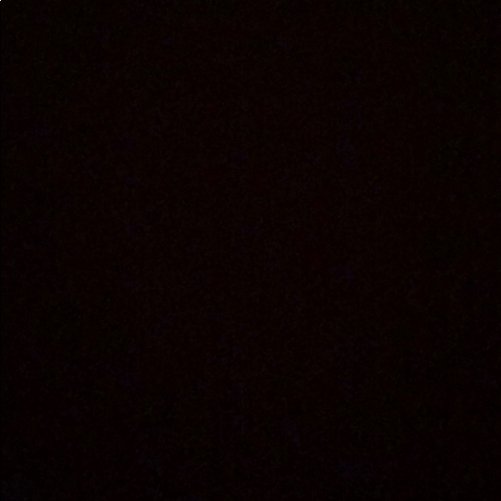 Alexander wang frumo wristlet trade